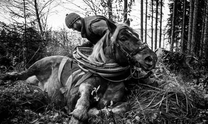Vernisajul expoziției de fotografie documentară „Despre oamenii și caii din Valahia Moravă”