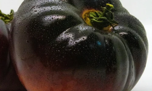rosii negre jpg