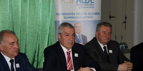 tariceanu bistrita 