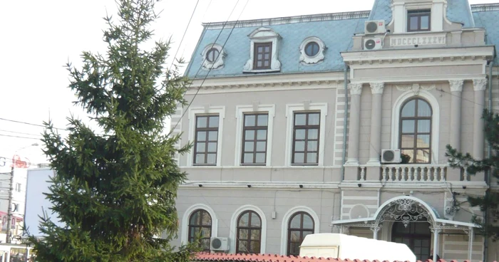 Al doilea brad donat a fost montat în faţa SGU Ploieşti