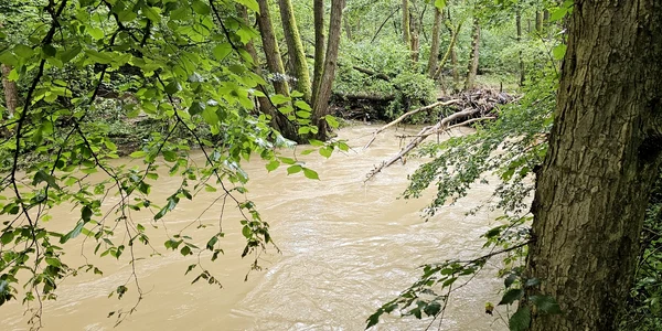 Valea Cernei și Cernișoarei, după inundatii  Foto Daniel Guță ADEVĂRUL (96) jpg