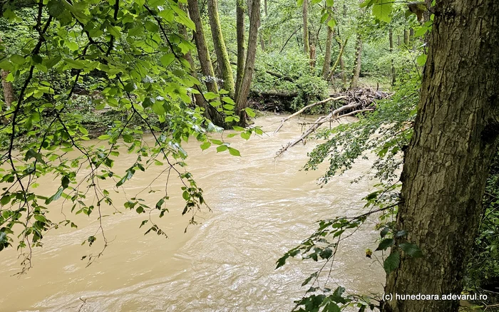 Cod roşu și inundații pe râuri din judeţul Hunedoara FOTO Arhivă Adevărul