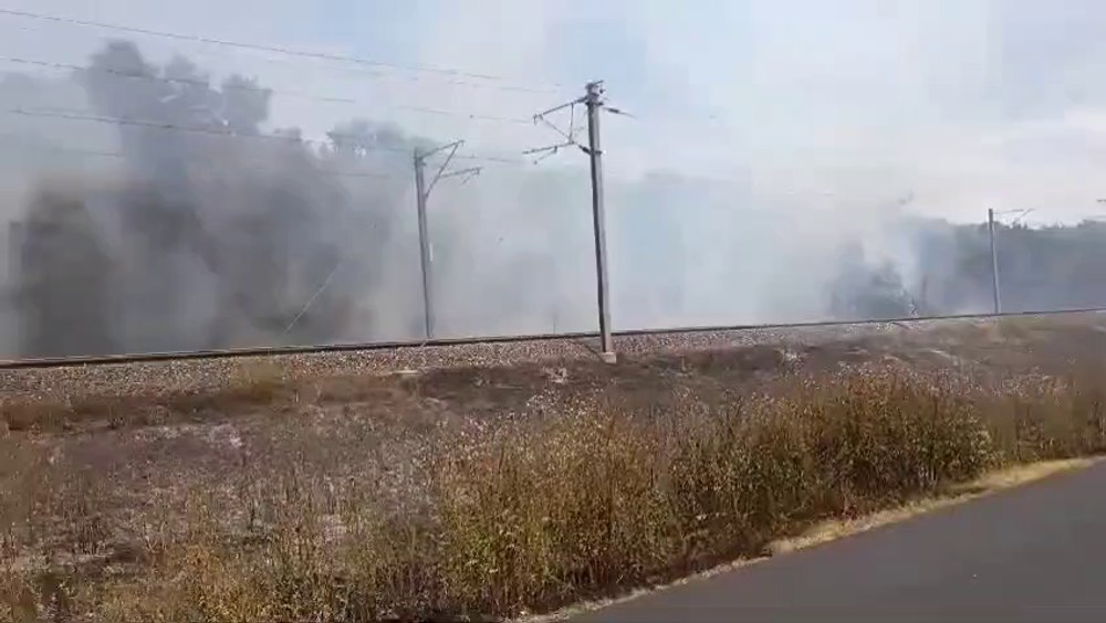 Trenuri blocate în câmp, la 40 grade Celsius, din cauza unui incendiu de vegetație. Circulație reluată între Fetești și Ciulnița VIDEO