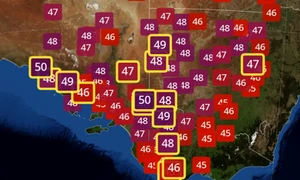 canicula australia jpg