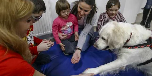 Copii cu dizabilitati interactioneaza cu caini de terapie si activitati FOTO David Muntean