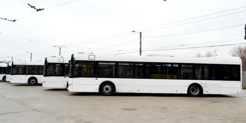 autobuze baia mare