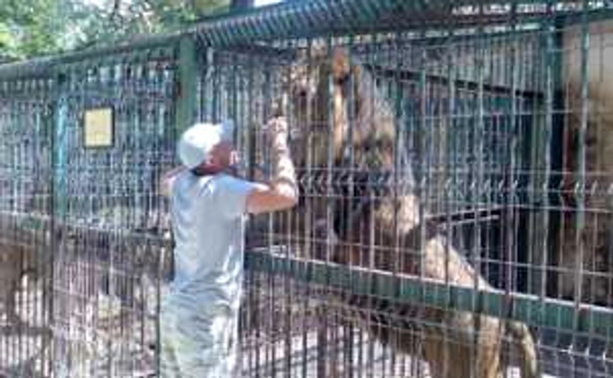 Animalele de la  Zoo pleacă în lume