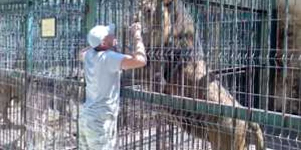 Animalele de la  Zoo pleacă în lume