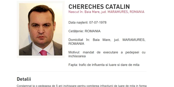 cherecheș urmărit jpg