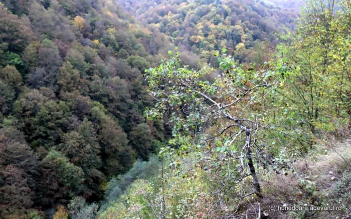 cheile cernei tunel