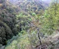 cheile cernei tunel