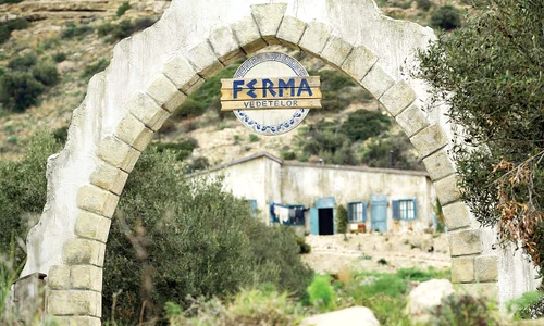 12 vedete ferma jpeg