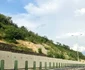Dealul Liliecilor, autostrada Deva Lugoj Foto Daniel Guță (1) jpg