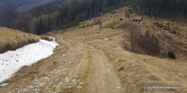 magureni foto adevarul dabiel guta