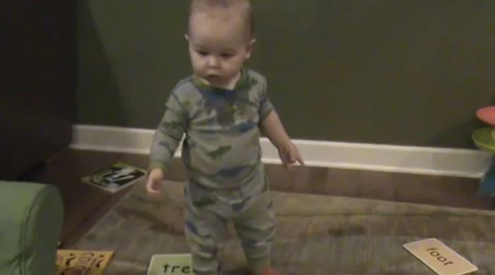 
    La doar 16 luni, acest băieţel uimeşte cu inteligenţa luiFoto: Captură Youtube  