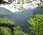 Munţii Făgăraş deţin „cea mai sălbatică vale a Europei” în Vâlcea - Valea Boia Mică Foto Agent Green - credit Matthias Schickhofer - Euro Natur