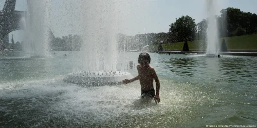 77390750 1004 webp