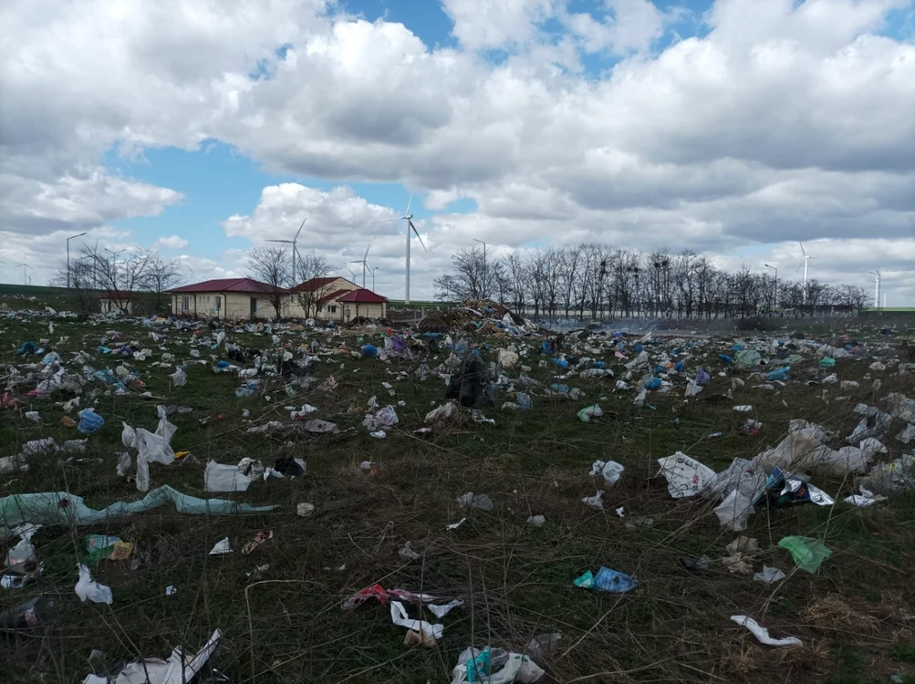 FOTO: Călin Gavrilaş