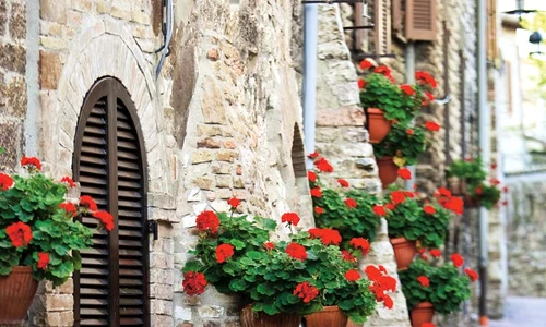 1 54648 original jpg jpeg