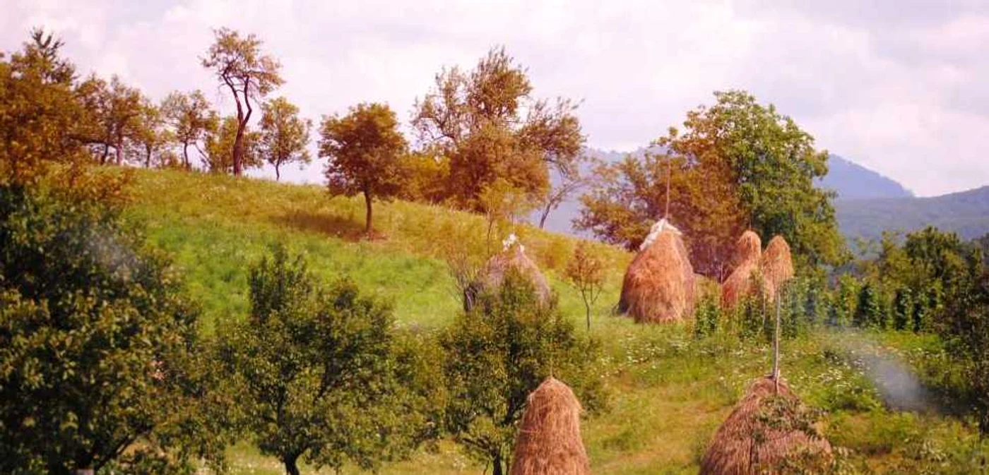 Vremea in Maramures pana la finele lunii februarie FOTO:Arhiva