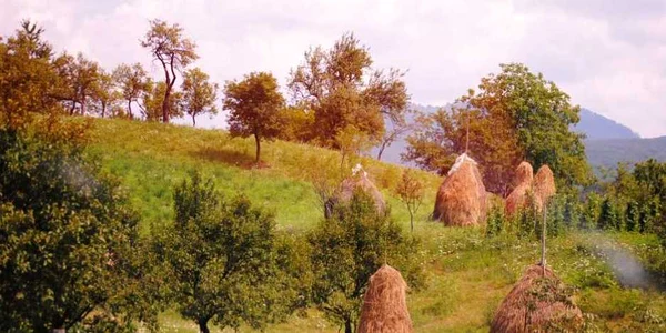 maramures unic
