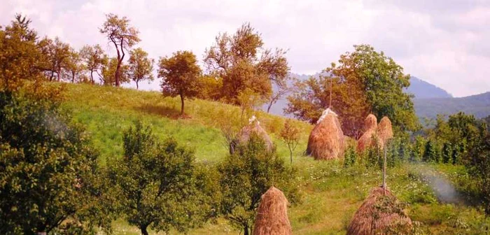 Vremea in Maramures pana la finele lunii februarie FOTO:Arhiva