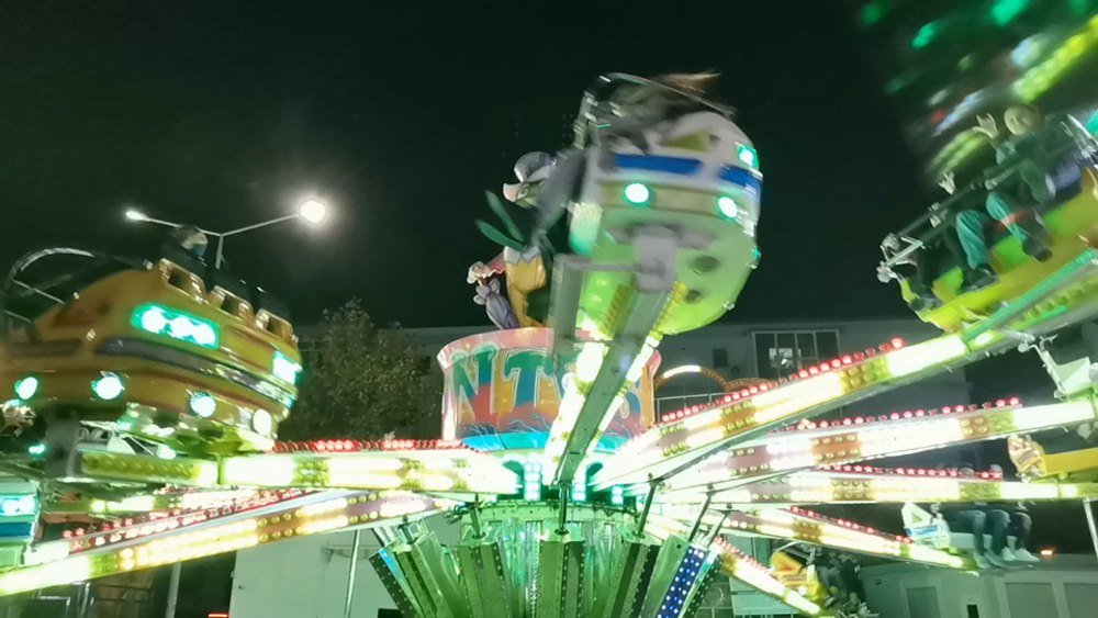 Parcul de Crăciun din Oltenia care a inflamat Internetul. Elefanți, girafe și lupi care urlă la lună FOTO VIDEO 