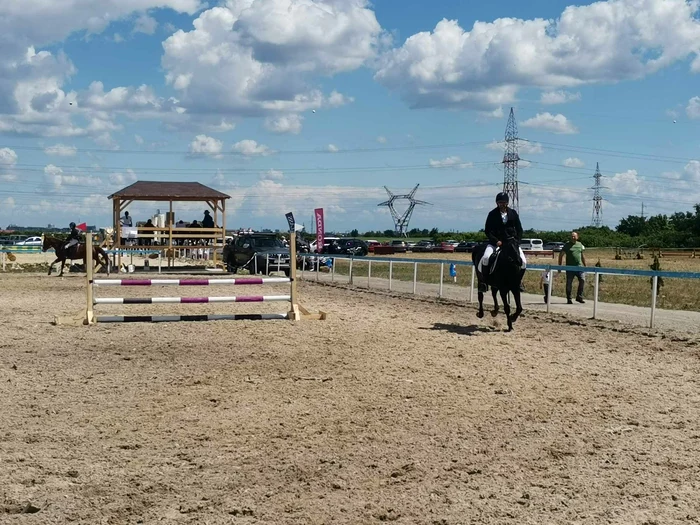 Baza hipică CS Cantemir Timișoara FOTO Ștefan Both