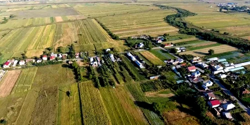 Sătenii spun că nu vor mai avea unde să-și ducă animalele la păscut. FOTO Facebook