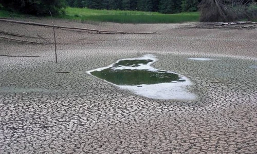 1 84949 original jpg jpeg