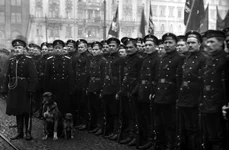 De ce a recunoscut Lenin independența Finlandei jpeg