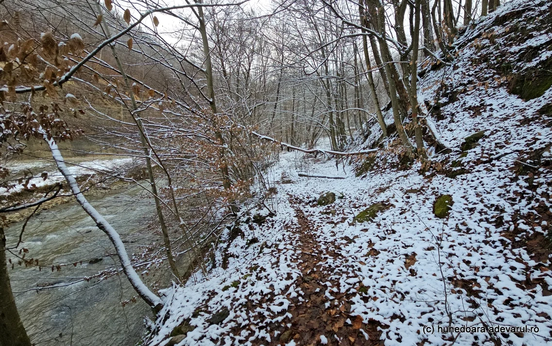 Calea ferata de pe valea Gradistii, disparuta Foto Daniel Guță  ADEVĂRUL (24) jpg
