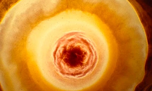 Voyage of Time: Life’s Journey – invitaţie la contemplare prin călătorie jpeg