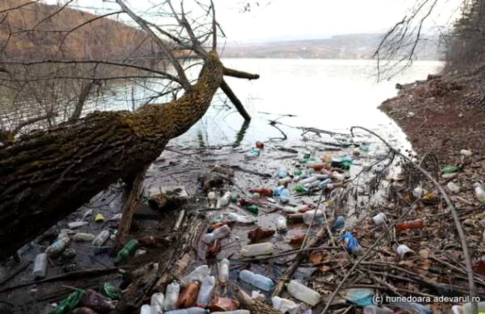 Lacul Cinciş. FOTO: Daniel Guţă. ADEVĂRUL.