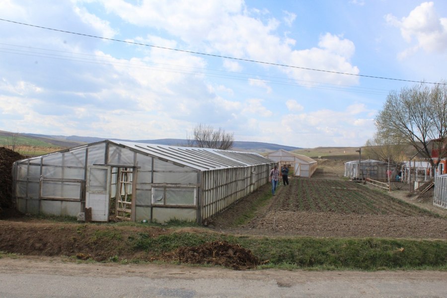 Termen prelungit pentru finanțarea fermelor mici. Ce fonduri mai sunt disponibile