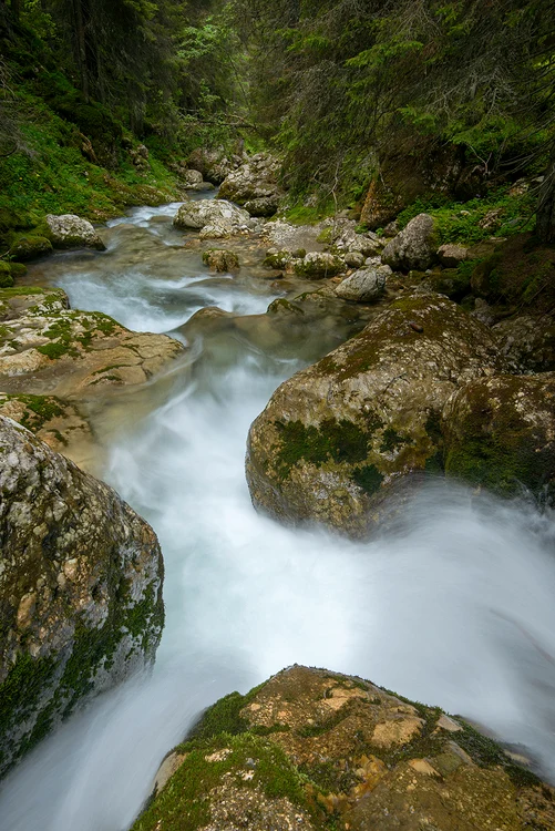 Munții Bucegi. FOTO România Sălbatică