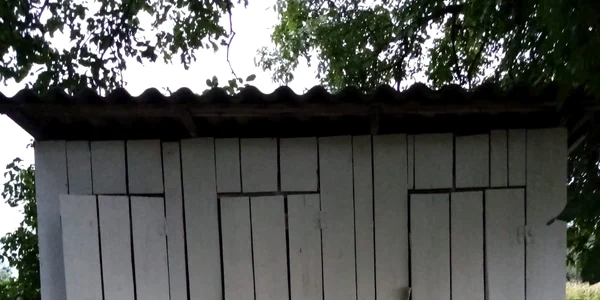 toaleta scoala calimanesti jpeg