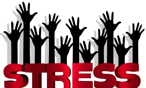 1 67183 original jpg jpeg