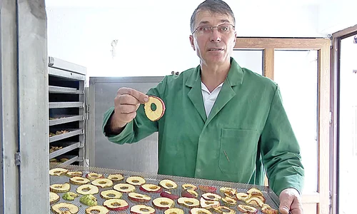 Gospodarul aşază merele tăiate în cuptorul pe lemne jpeg