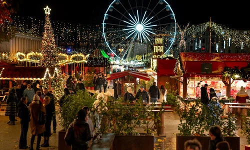 pexels jakubzerdzicki 19361199 jpg