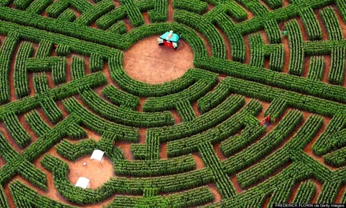 historia ro undefined jpeg