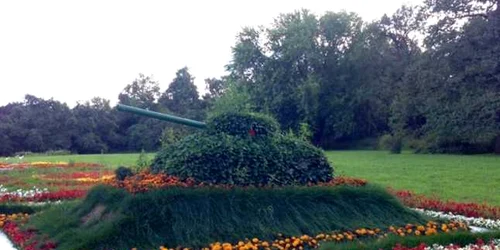 tanc din plante moscova