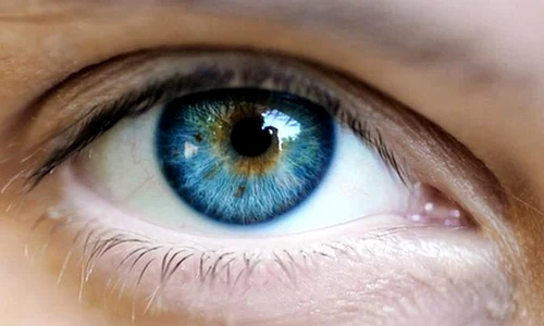 Descoperire neaşteptată despre oamenii cu ochi albaştri jpeg