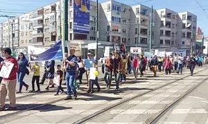 2 3 mediafax timisoara jpeg