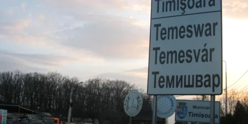 Intare în Timişoara