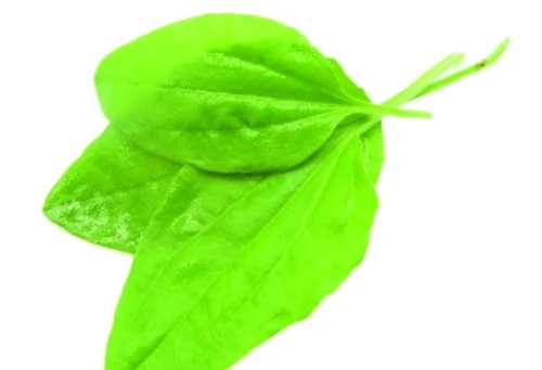 a395d00fdb5bd2d3aee010f2a7df78d1 jpg jpeg