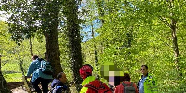 rataciti munte padure 2 jpg
