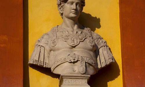 1 shutterstock 1369496828 jpg jpeg