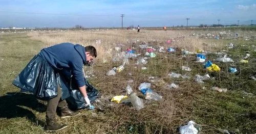ecologizare pancota