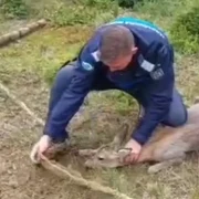 FOTO Captură video